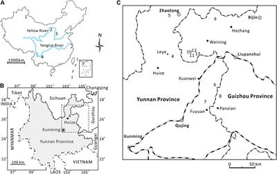 Latest Permian Peltasperm Plant From Southwest China and Its Paleoenvironmental Implications
